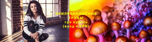 крисы Алексеевка