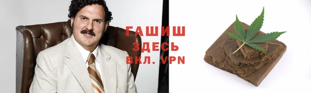 гидропоника Алзамай