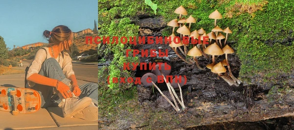 спайс Алексин
