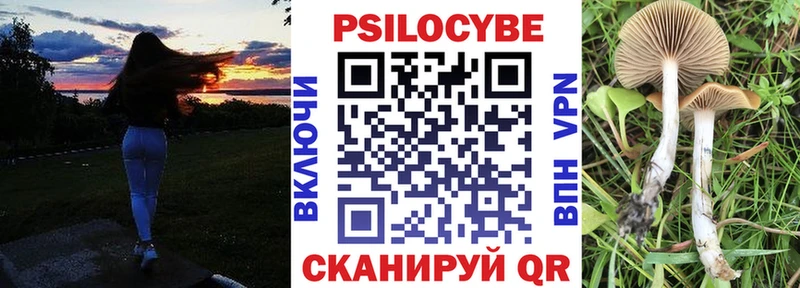 Галлюциногенные грибы Psilocybe  Болгар 